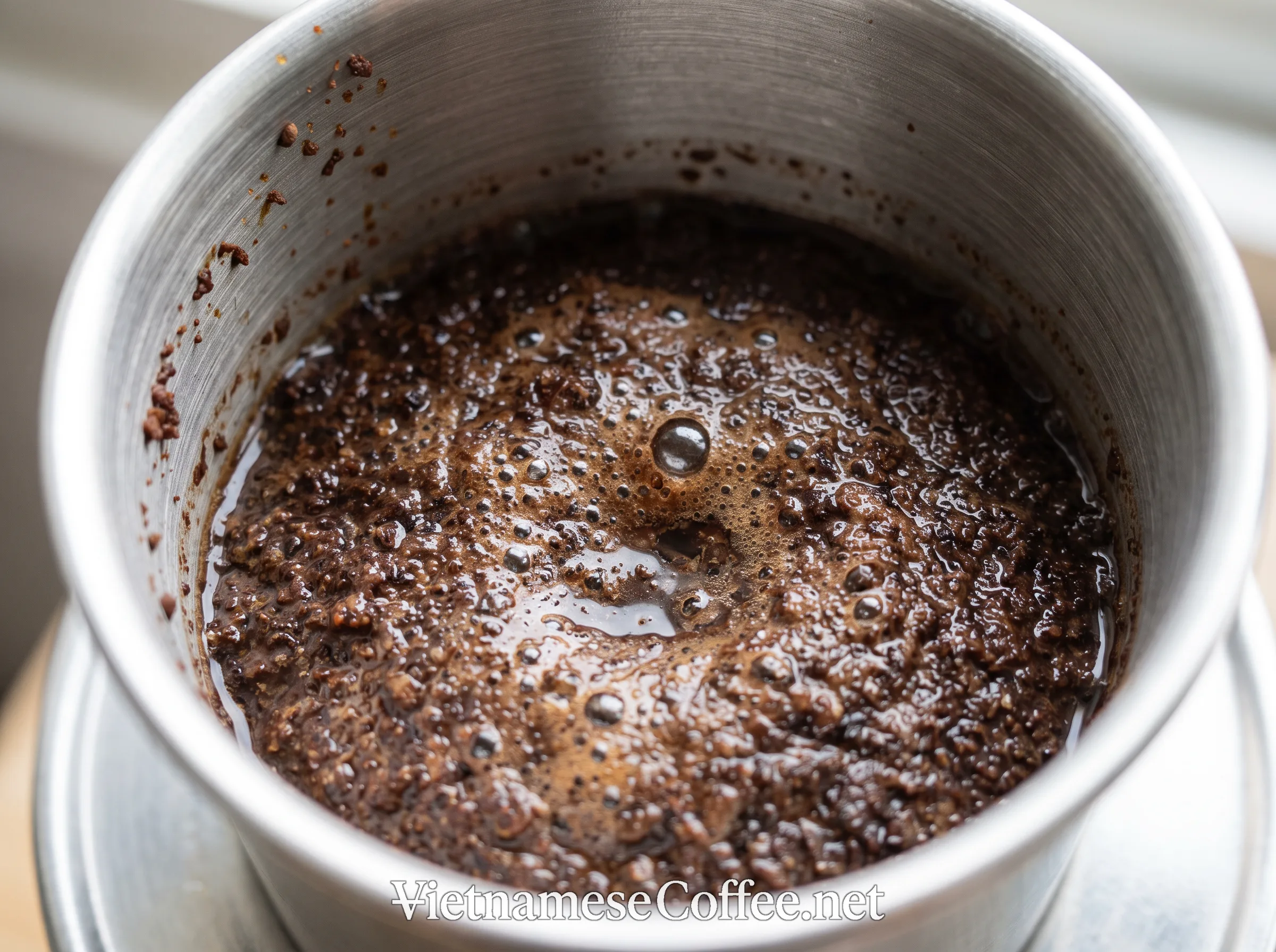 Coffee grounds blooming inside a phin filter chamber after the first water pour